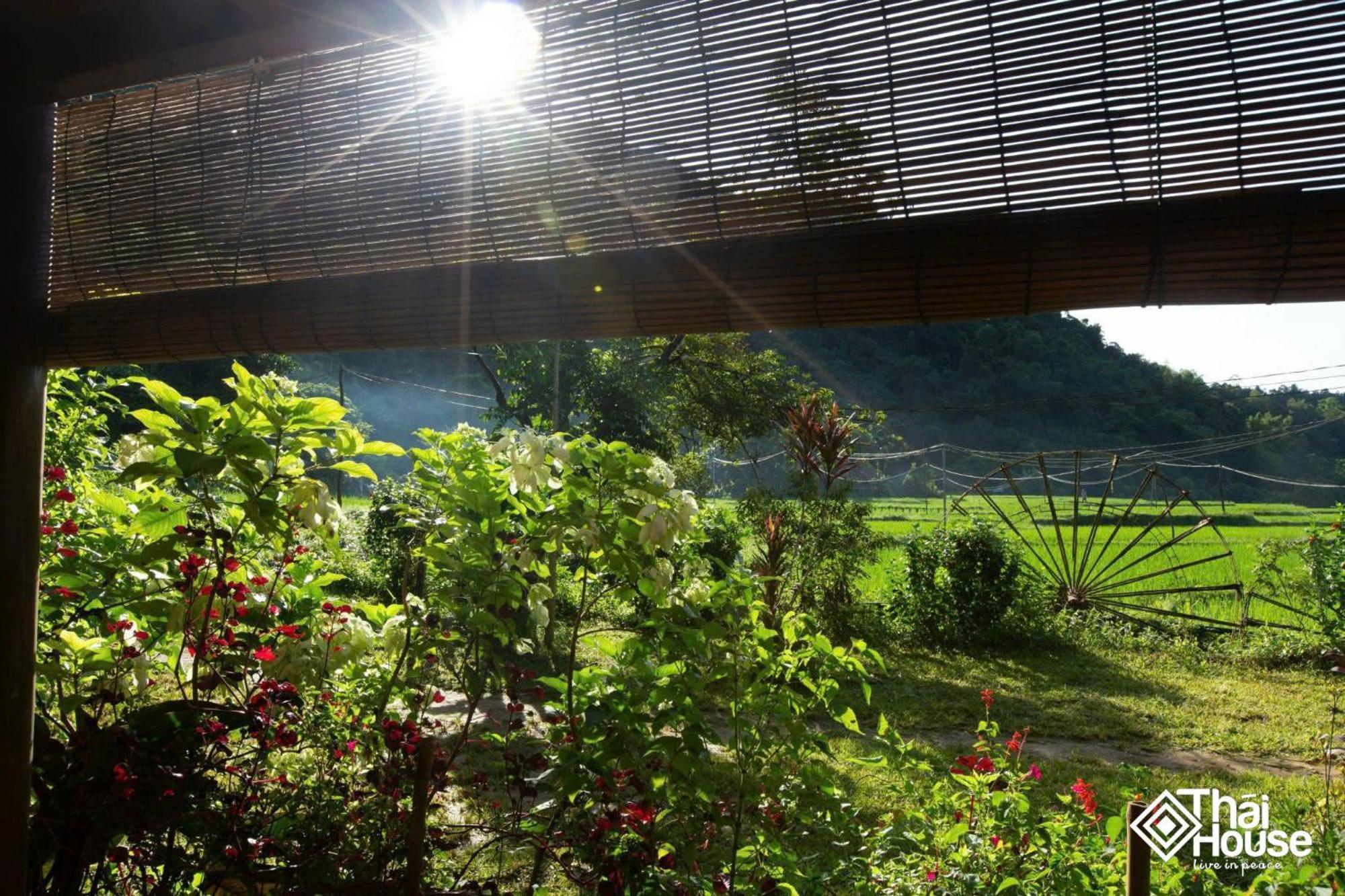 Thai House Pu Luong - Century Old Stilt House With Terrace Views Huong Ba Thuoc المظهر الخارجي الصورة