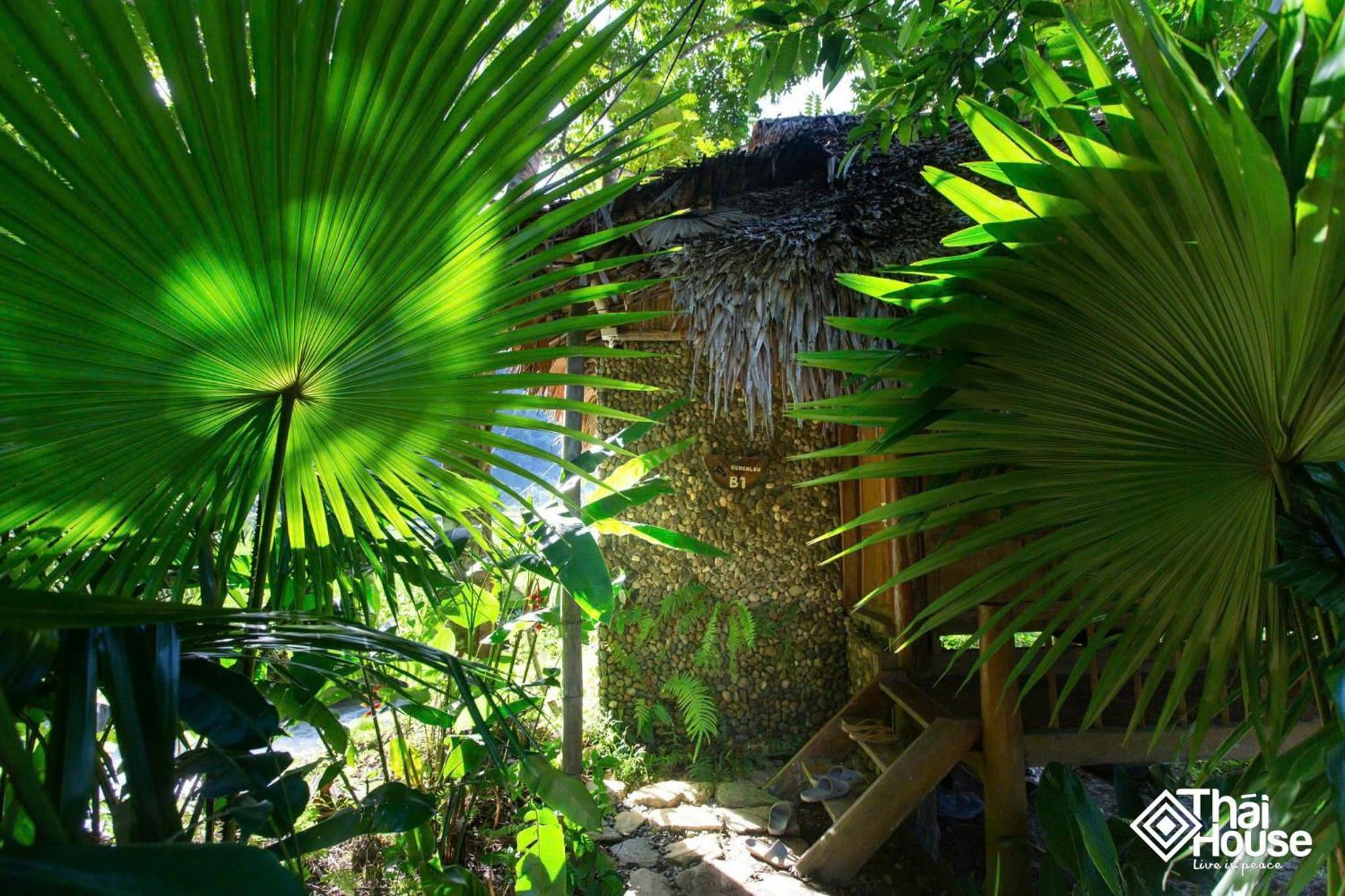 Thai House Pu Luong - Century Old Stilt House With Terrace Views Huong Ba Thuoc المظهر الخارجي الصورة